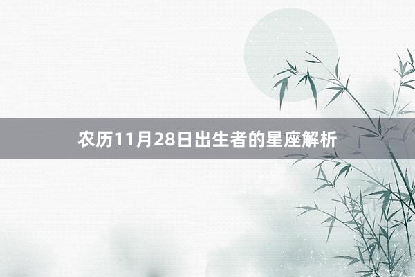 农历11月28日出生者的星座解析